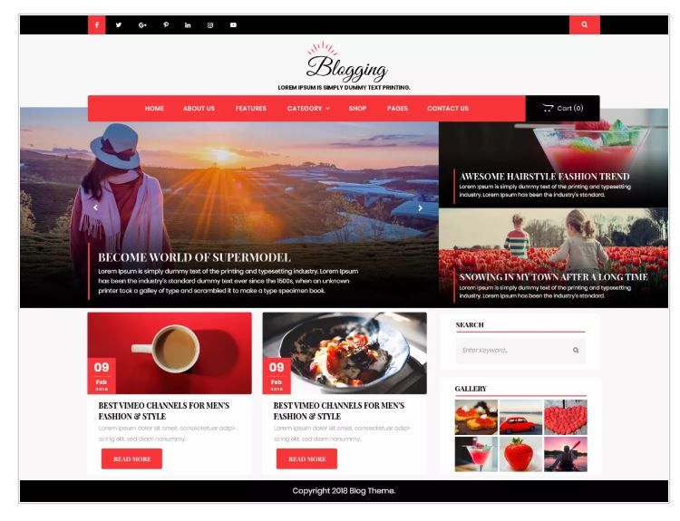 Free WordPress Theme