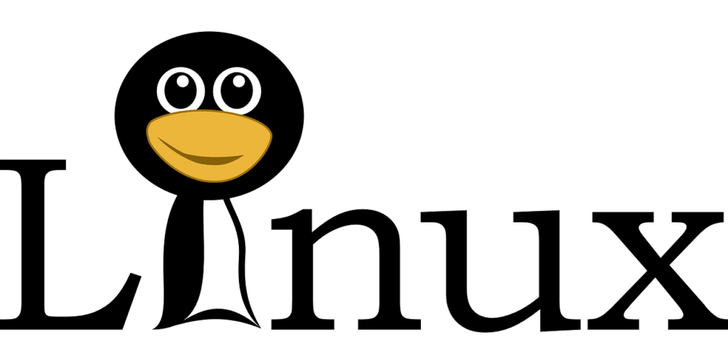 Linux without installing