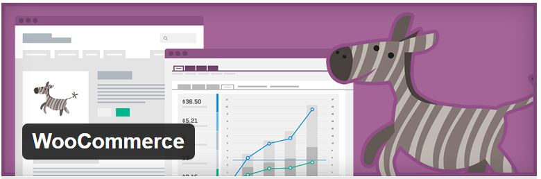 Essential WordPress Plugins woocommerece