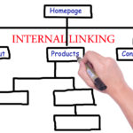 Internal Linking