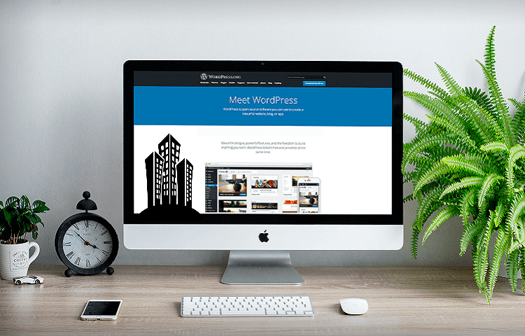 WordPress CMS for building your own website