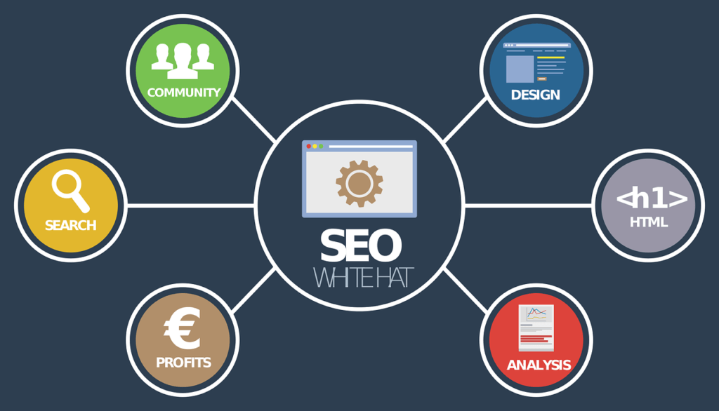 Creating an SEO Plan from Scratch