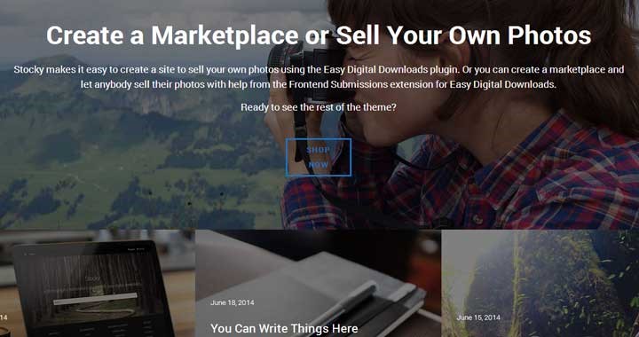 Best WordPress Themes for Creating a Stock Photography Site