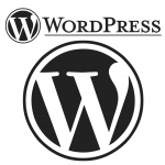 Plugins For Your New WordPress Website