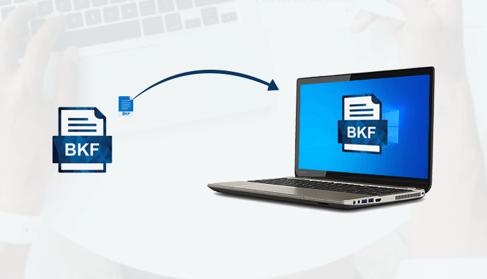 What Is a BKF File? How To Restore BKF Files in the Computer System?