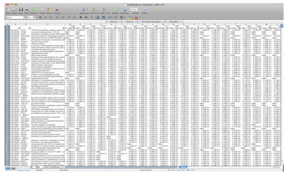 What Can Data Visualization Do for Your Sales and Marketing Department?