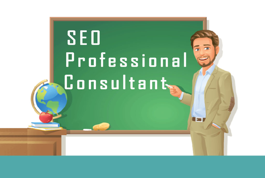 professional seo consultant