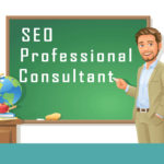 professional seo consultant
