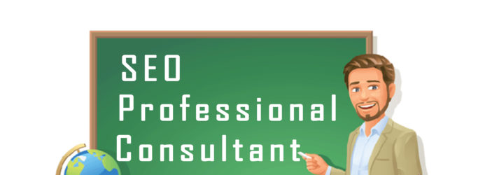 professional seo consultant