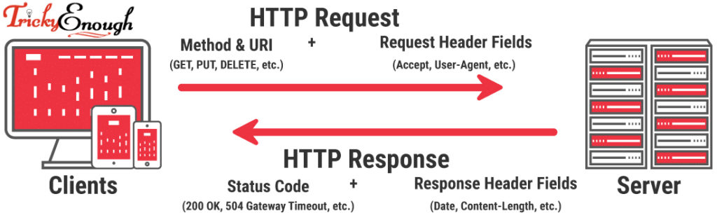 ebserver response by inspecting element