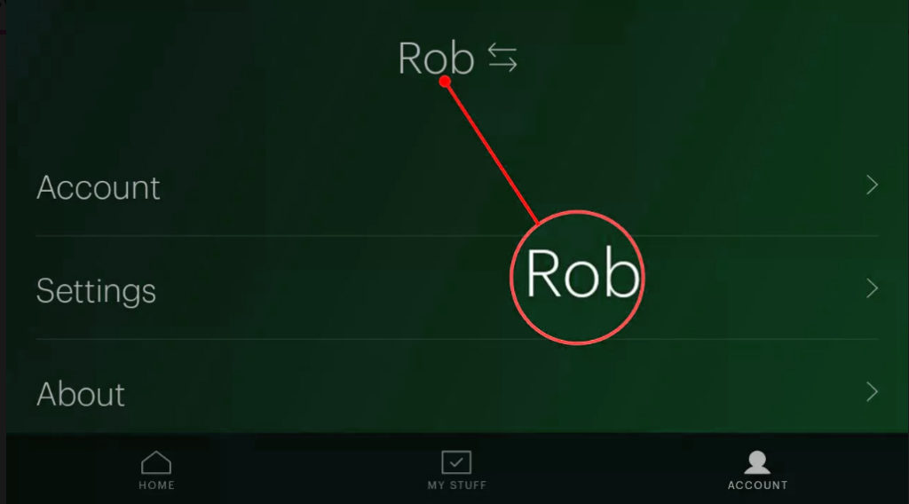 Showing what is inside the Accounts section