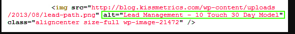 highlighting image alt tag to view source code of a website.