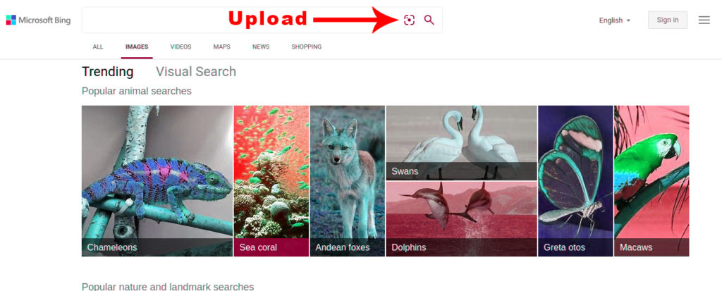 Reverse Image Search Tools