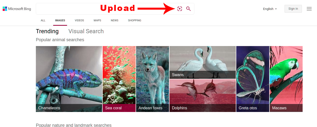Top 5 Reverse Image Search Tools to Find Great Images for Social Media