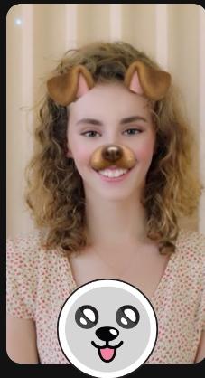 dreamybull  Search Snapchat Creators, Filters and Lenses