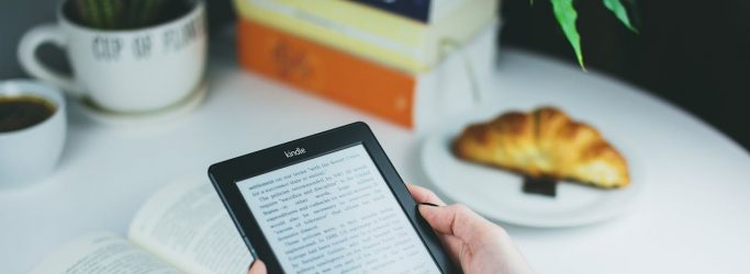 How Much To Charge For an eBook? Follow These 7 Ways