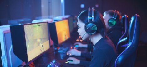 Understanding Video Game Developers as a Professional Company