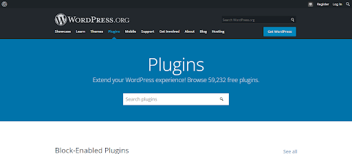 WordPress For Web Development