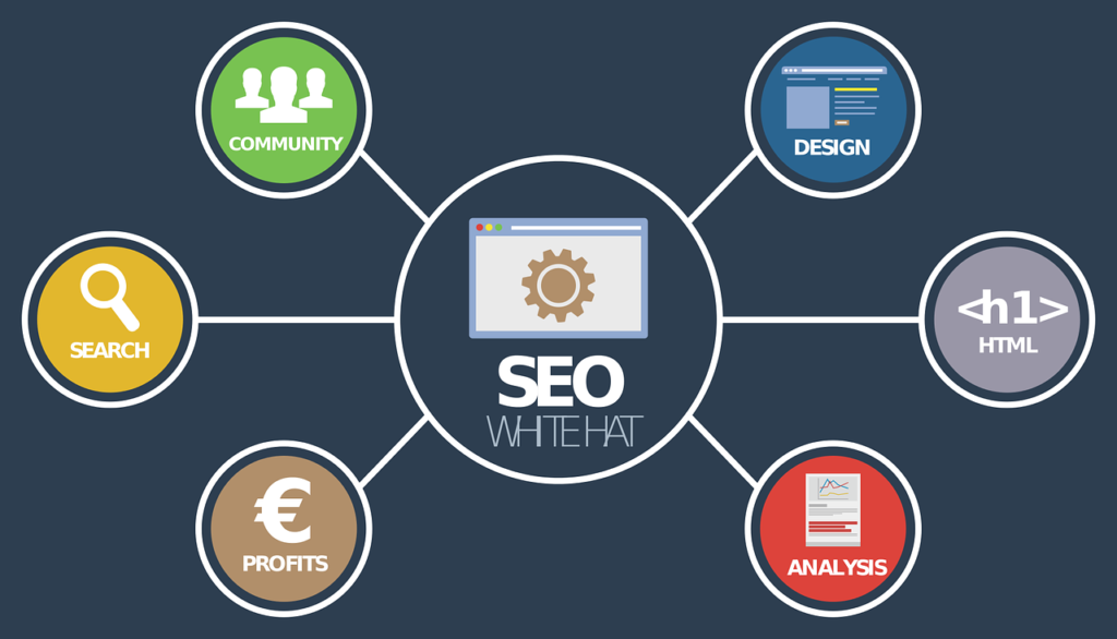 Types of SEO Services: Major Techniques, Strategies You Should Know