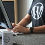 wordpress web development