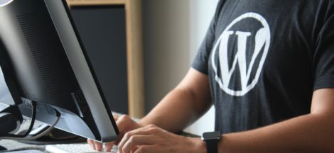 wordpress web development