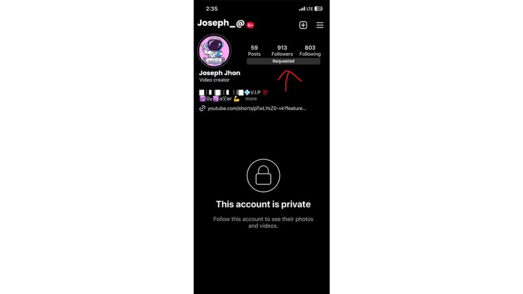 Is it possible see a private Instagram Profile without following the user?