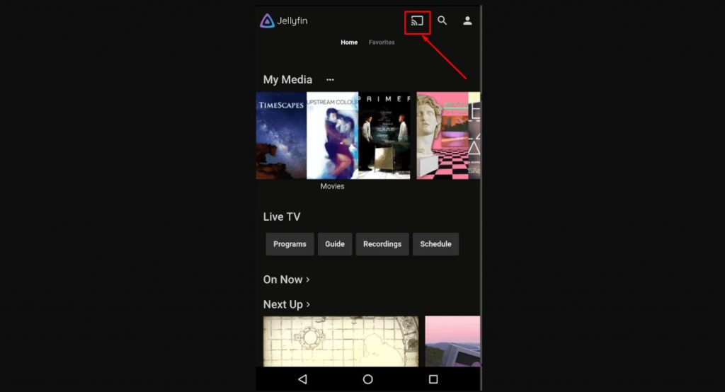 How to Chromecast Jellyfin with Smartphone and PC?
