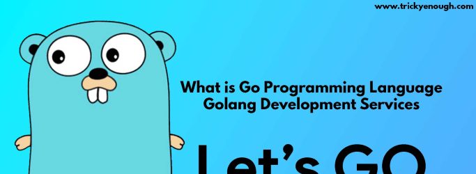 Golang Development Services