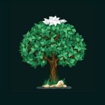 Roots: Everything Out About The Screen Time Tracking App