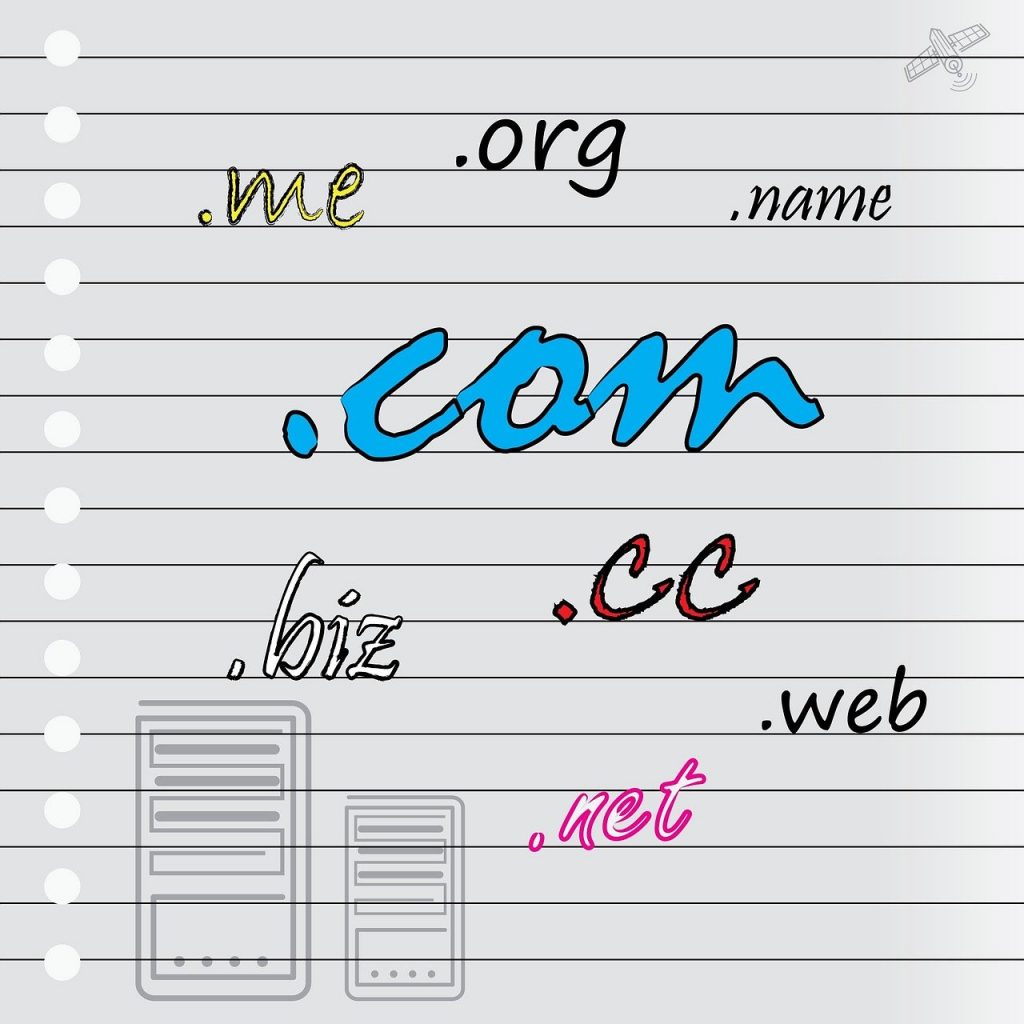 ccTLDs vs. gTLDs